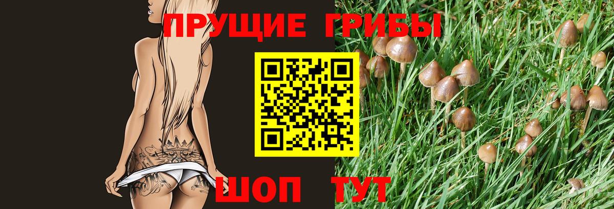 Псилоцибиновые грибы Psilocybine cubensis  Вход с VPN  Тольятти 