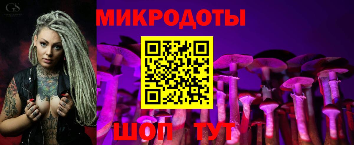 Псилоцибиновые грибы Cubensis Тольятти