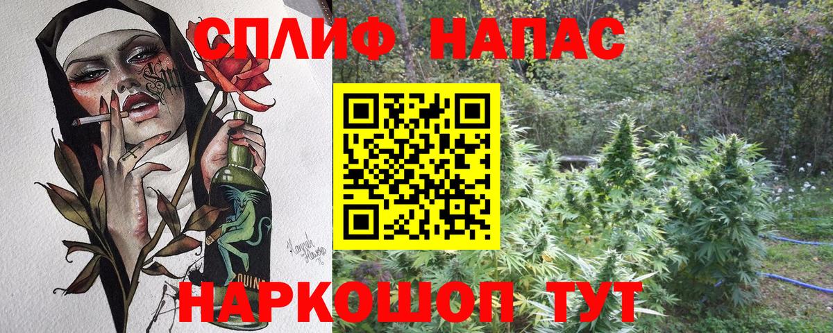 Канабис тримм  Вход с VPN  Бошки Шишки марихуана  Тольятти  Канабис план 